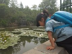 -竹泉村旅游度假区