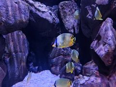 -成都浩海立方海洋公园