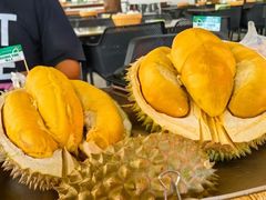 -都念榴莲·城市榴莲