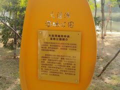 -前关湿地公园
