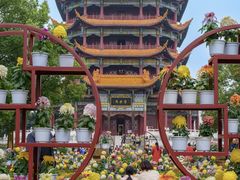 -富乐山