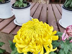 -共青国家森林公园-售票处