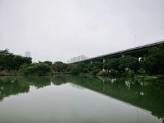-中澳友谊花园