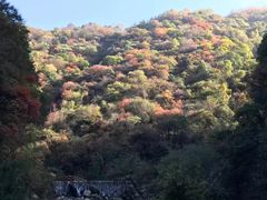 -少华山国家森林公园