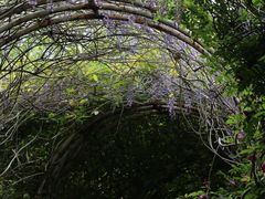 -合肥滨湖国家森林公园