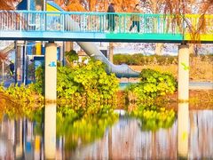 -东湖落雁景区