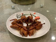 红烧妙龄乳鸽-顺悦酒家(嘉信城市广场店)