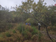 -蟠龙山长城景区