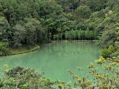 -广州白江湖森林公园