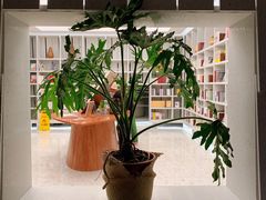 -二酉书店TOYOU BOOKS