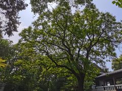 -云龙山
