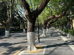 -颐和路民国时期公馆风貌区