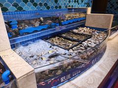 -乔哥铭洋海鲜自助(皇城恒隆广场店)