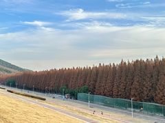 -南京金牛湖风景区