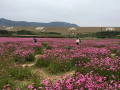 -光明小镇欢乐田园