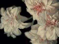-杨梅红艺术教育(水贝教学中心)