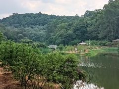 -南国桃园旅游度假区