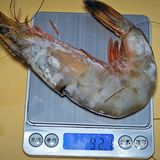 真正渤海湾海捕对虾制作，《大虾烧白菜》天花板