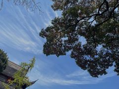 -西园戒幢律寺