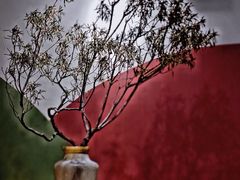 -Catch Bagel(芳草地店)