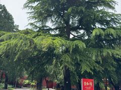 -北京市劳动人民文化宫(太庙)