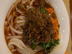 -圣爵菲斯大酒店(长沙世界之窗店)