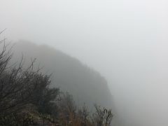 -江西阳明山国家森林公园