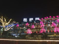 -枇杷园食为鲜火锅(南山店)