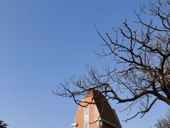-八大关景区