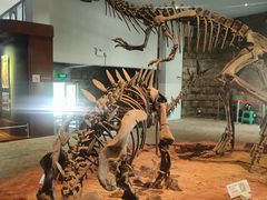 -自贡恐龙博物馆