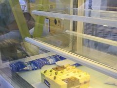 -维尔纳斯·生日蛋糕动物奶油冰淇淋蛋糕(人大店)
