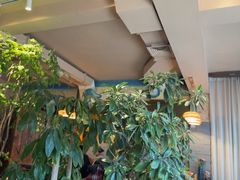 -慢丽江·云南野生菌土鸡锅(付家庄店)