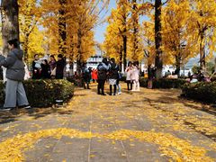 -两江幸福广场