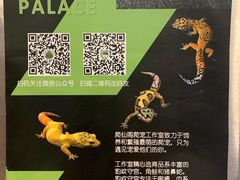 -酷以爬仙阁实体爬宠店·守宫·蜥蜴·专业繁育