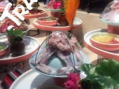 压锅双拼-鸡毛店·川菜(双楠店)