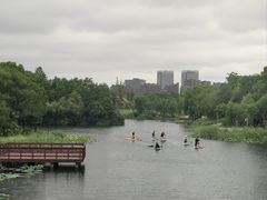 -新江湾城公园