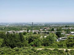 -盛世牡丹苑生态文化旅游区