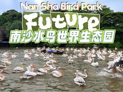 -南沙水鸟世界生态园