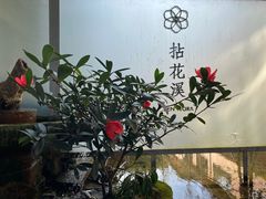 -乐领拈花溪·林涧食韵