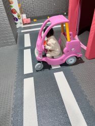 -嘟嘟乐儿童乐园(卜蜂莲花店)