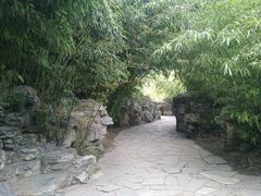 -紫竹院公园冰场