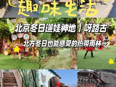-呀路古热带植物园