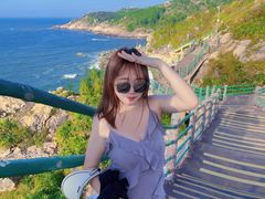 -广东惠东海龟国家级自然保护区