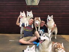 -TrueLove @ Neverland (Husky Cafe)