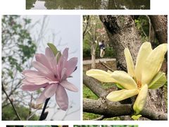 -中国科学院华南植物园