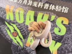 -鹏欣水游城