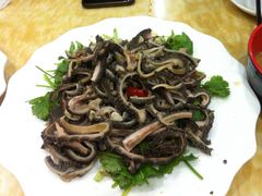 -老马家拉面(碧水花园东南)