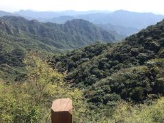 -大岭沟猕猴桃谷风景区