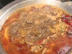 -成老灶火锅鸡(平山店)
