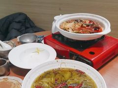 -靓蛙馆